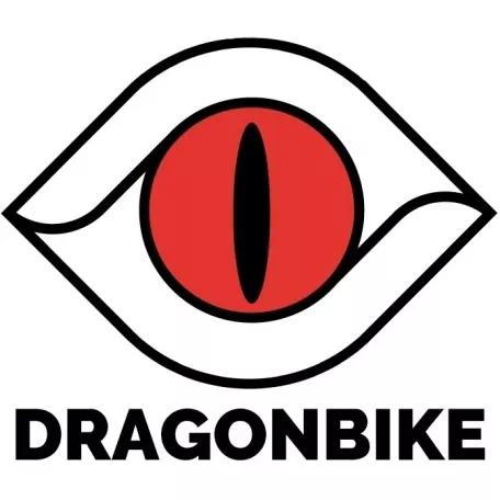 Наклейка виниловая, логотип DragonBike